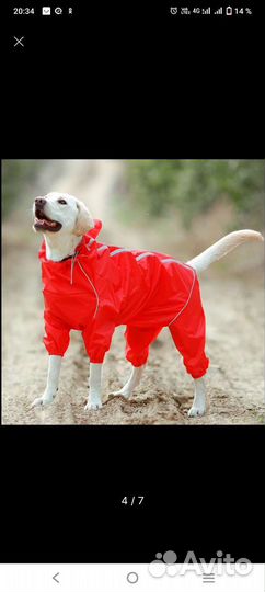 Дождевик-комбинезон