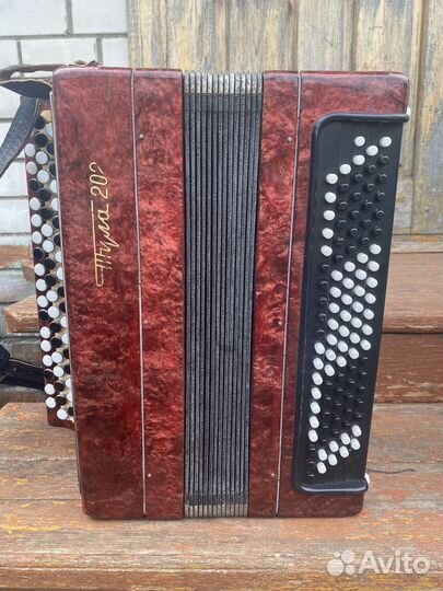 Баян Тула 202