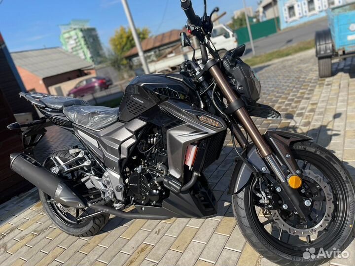 Мотоцикл Regulmoto T-Leopard 300 (чёрный)