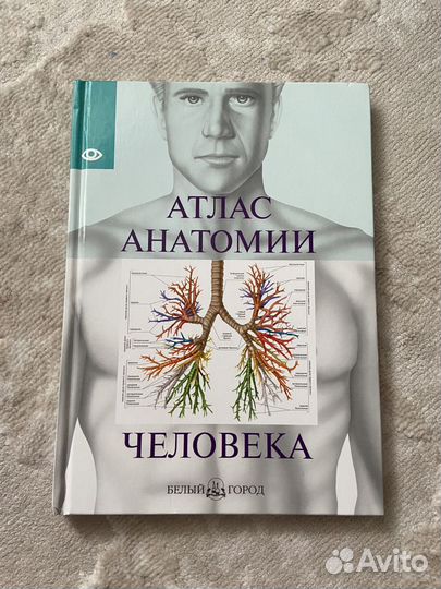 Атлас анатомии человека