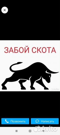 Забой скота