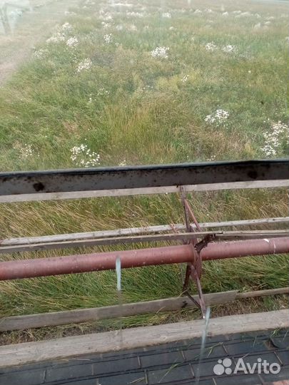 Корма для животных