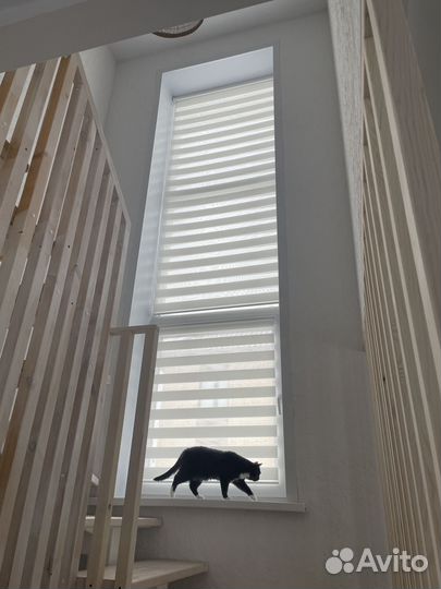 Рулонные шторы зебра