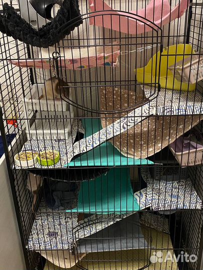 Клетка для грызунов