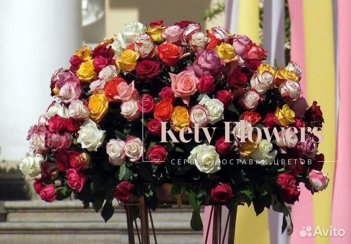 101 роза цветы доставка