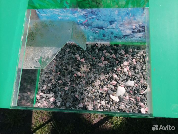 Аквариум 20 литров