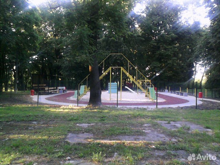 Дрессировка собак