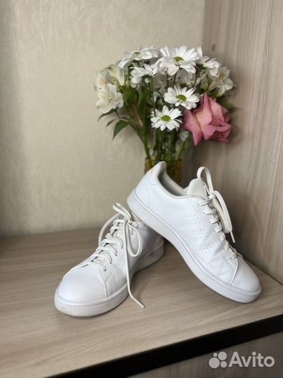 Кеды adidas женские 40