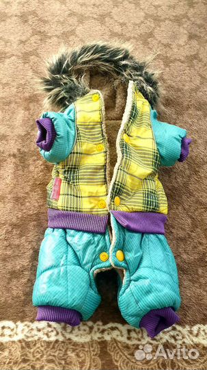 Одежда для собак