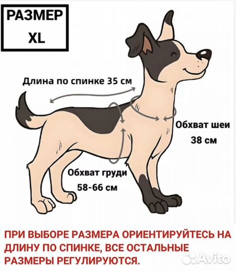 Новый жилет попона для собак