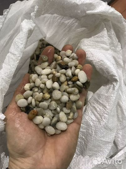 Галька жемчужная (пресноводная)