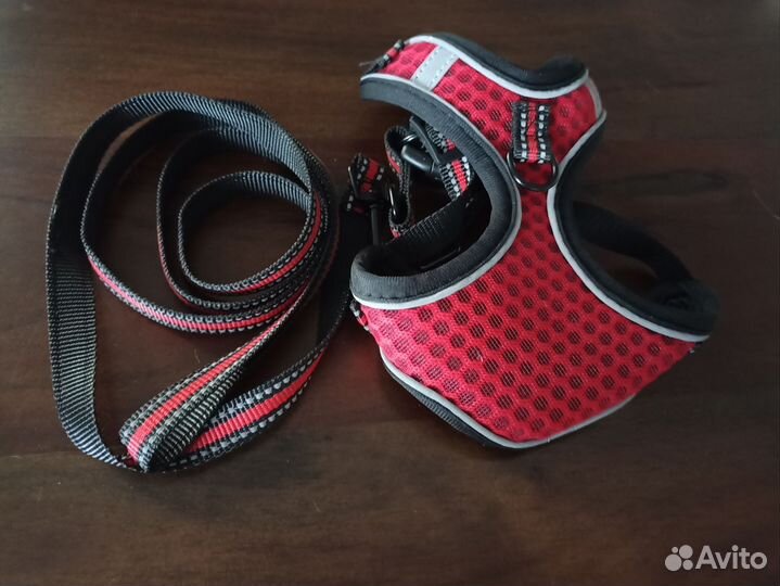 Шлейка+поводок