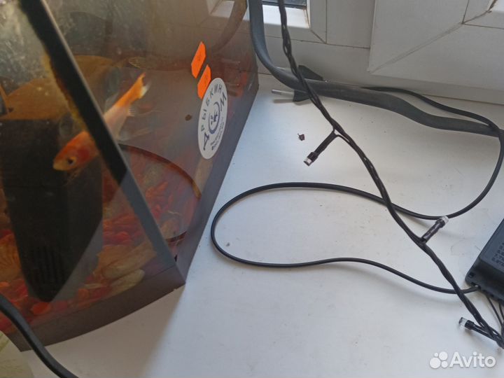 Продам аквариум