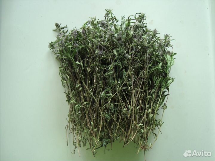 Лекарственные травы и плоды