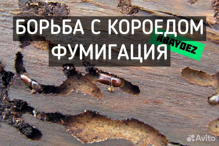 Обработка участка от клещей, комаров, короеда, ос