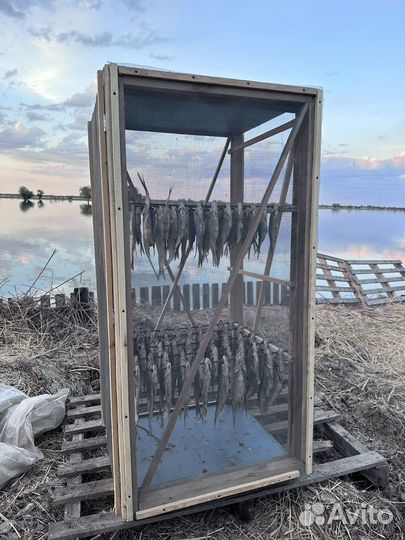 Сушилка для рыбы