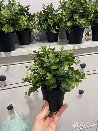 Икеа Растение искусственное фейка