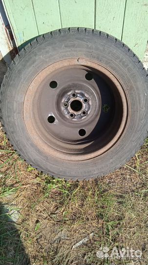 Nokian Tyres Hakkapeliitta 5 195/65 R15