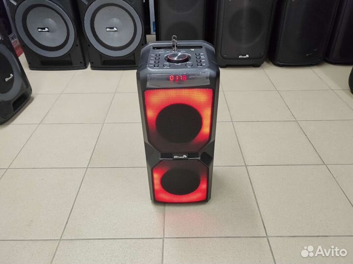 Колонка Eltronic 20-54