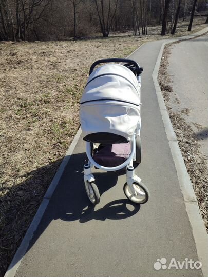 Коляска Torino 2 в 1