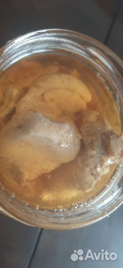 Печень трески мурманск