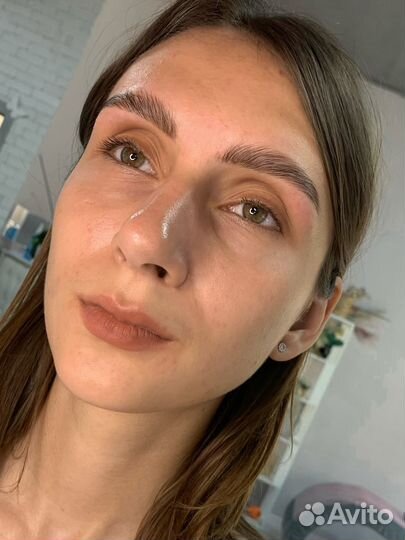 Курс бровист