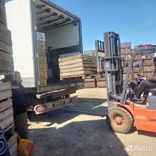 Грузоперевозки по РФ с оплатой в одну сторону