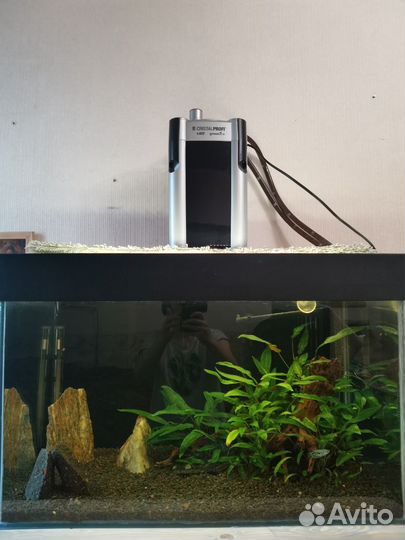 Аквариум на 180л с внешним фильтром и содержимым