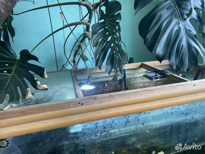 Аквариумы разные