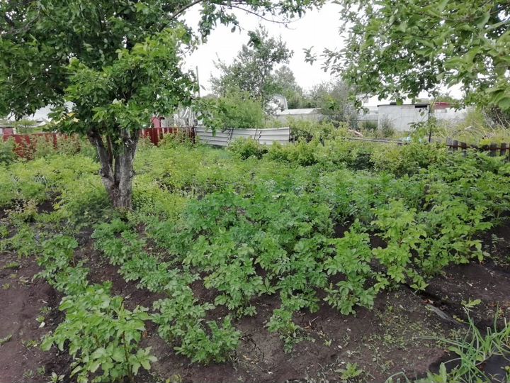 Участок 4 сот. (СНТ, ДНП)