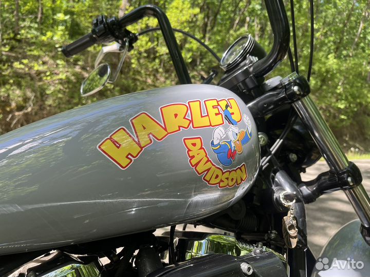 Harley-Davidson Sporster XL1200 C (custom)