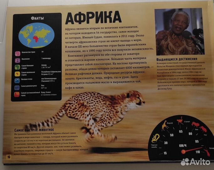 Атлас животные мира и Атлас мира для детей