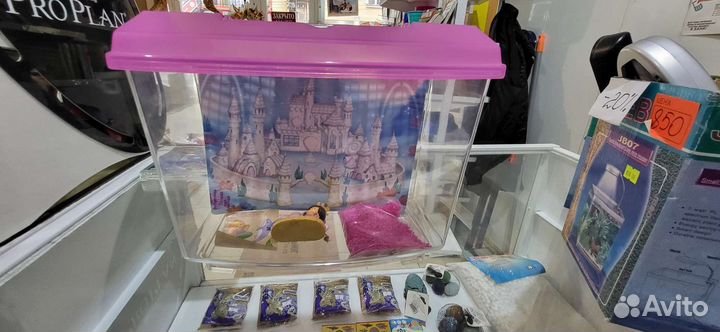 Аквариумы и лапмы