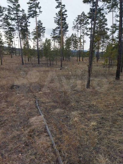 Участок 6 сот. (ИЖС)