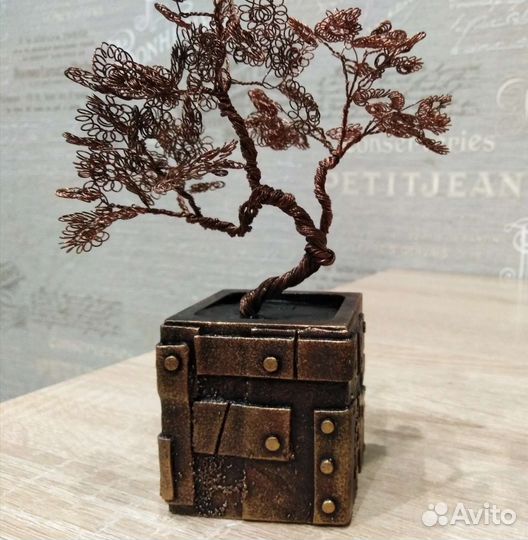 Дерево бонсай