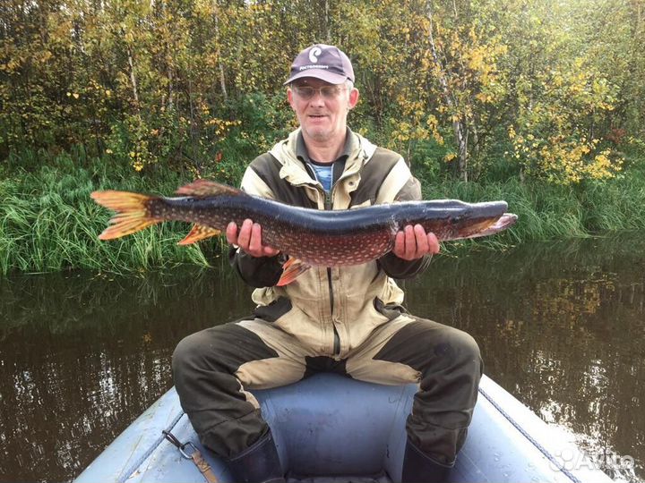 Водитель, А, В, С, Д, Е