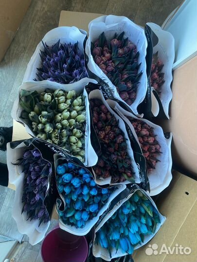 Доставка цветы и букетов