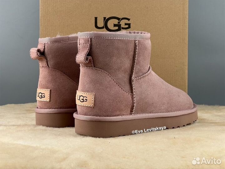 Угги женские Ugg Classic Mini II Dusk