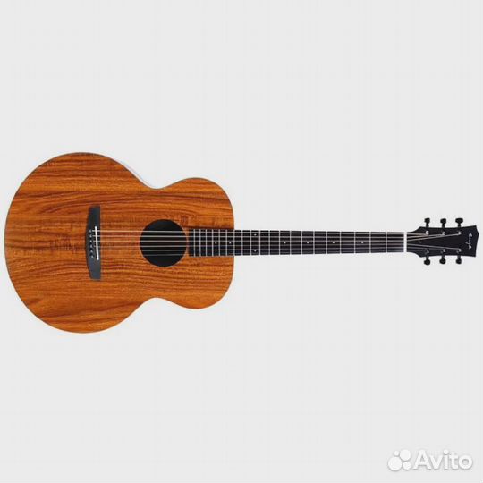 Акустическая гитара Enya EA-X1+ с аксессуарами