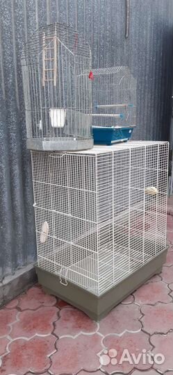 Клетки для птиц