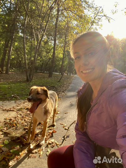 Выгул собак Гольяново и вао