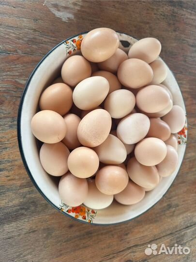 Куриные яйца