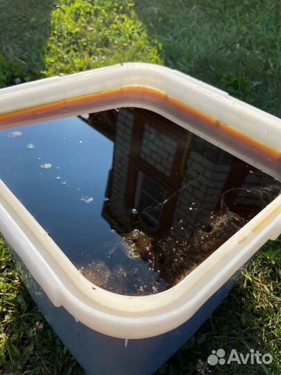 Натуральный мёд Горный Качка 2023 опт