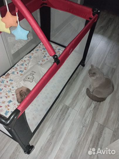 Детская кровать манеж с матрасом