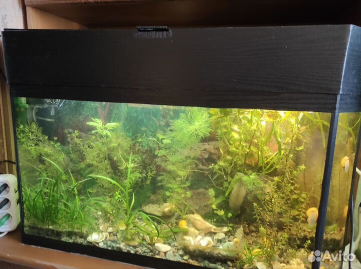 Личные вещи бу