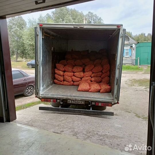 Грузовые перевозки газель