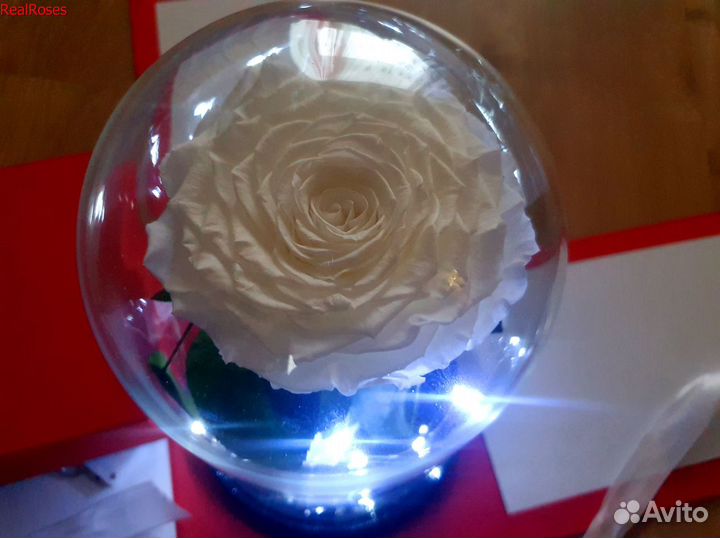 Роза в колбе с подсветкой