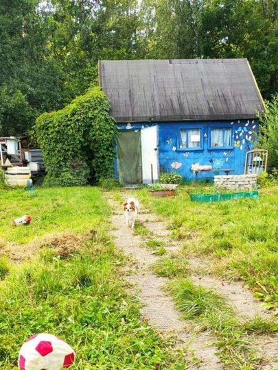Дача 20 м² на участке 8 сот.