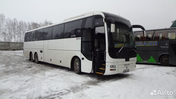 Аренда автобусов в Орле. Mаn 53 места