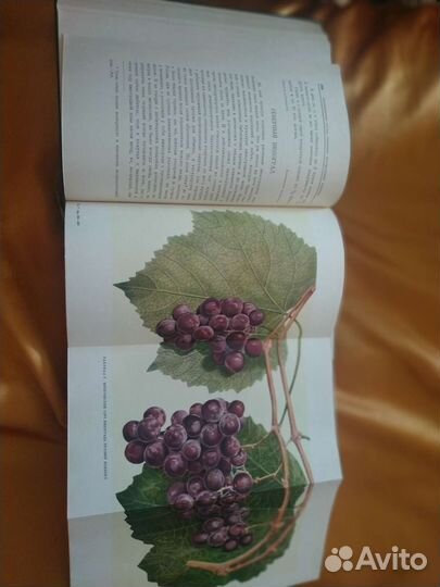 Книги старинные